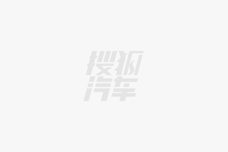 跑：中国新能源汽车“王者之相”PP模拟器